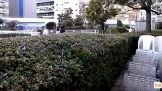 AI换脸周淑怡